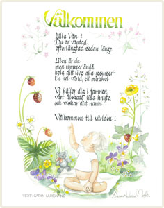 <b>Välkommen</b><br/>Text: Carin Larshans